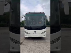 New LHD 10m CNG Sunlong Bus